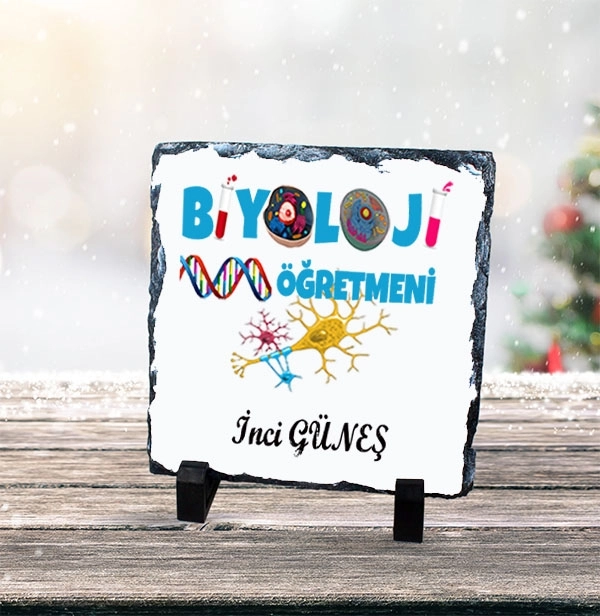 Biyoloji Öğretmeni Doğal Kare Taş