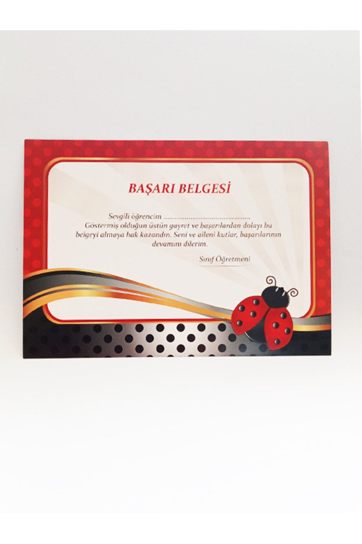 Öğrenci Başarı Belgesi